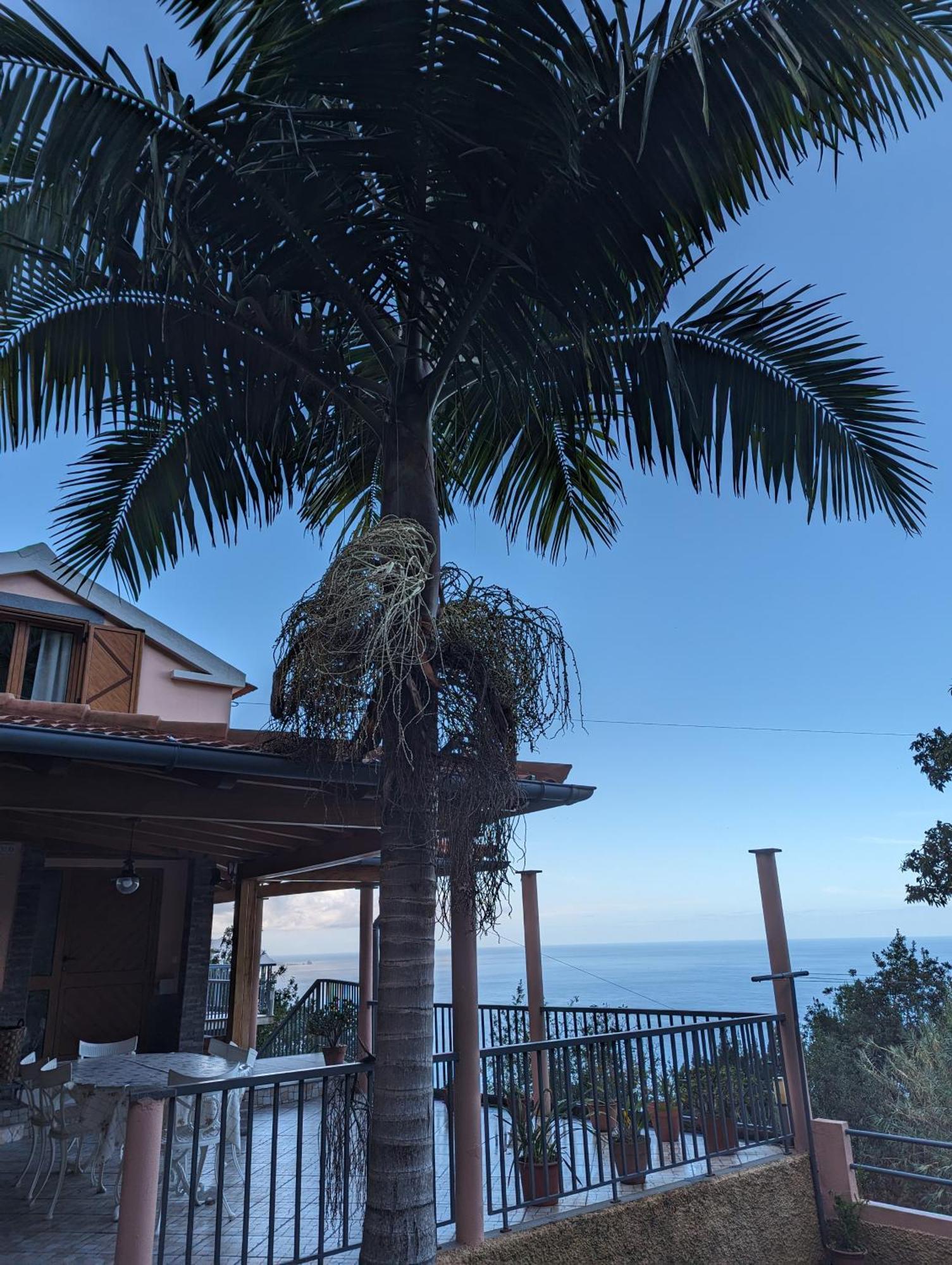 Fantatic Holiday House Πόντα Ντελγάδα Εξωτερικό φωτογραφία