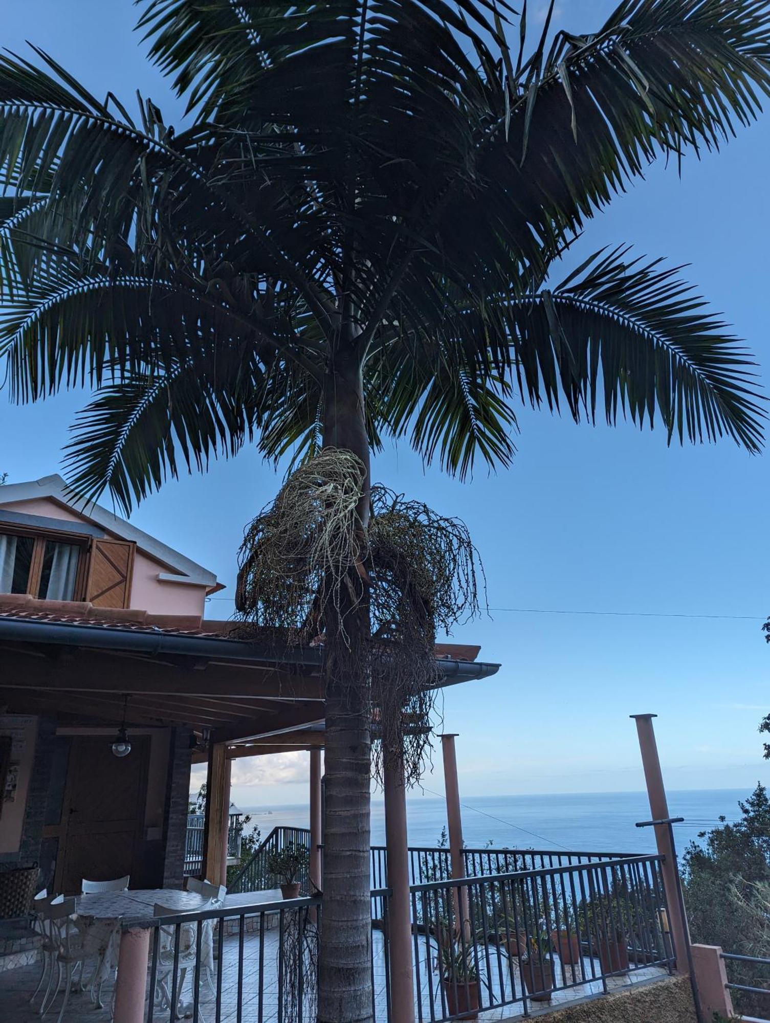 Fantatic Holiday House Πόντα Ντελγάδα Εξωτερικό φωτογραφία